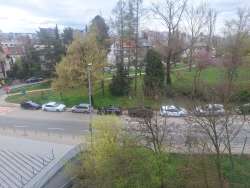 Photo of this report