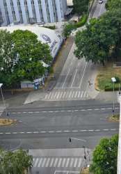 Photo of this report