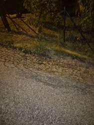 Photo of this report