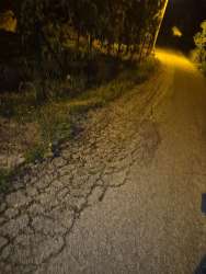 Photo of this report