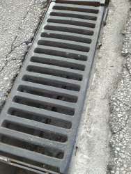 Photo of this report