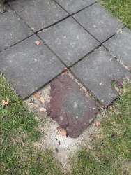 Photo of this report