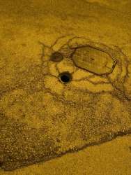 Photo of this report