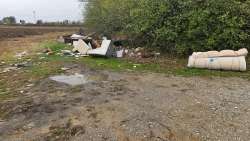 Photo of this report