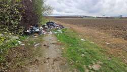 Photo of this report