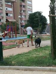 Photo of this report