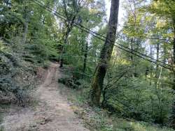 Photo of this report