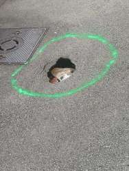 Photo of this report