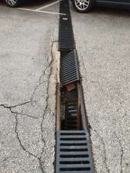 Photo of this report